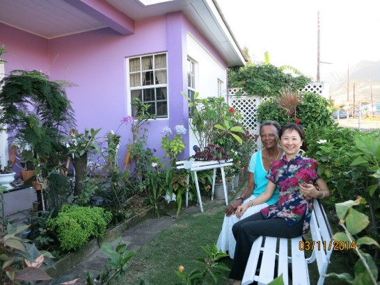 駐館曹大使夫人參觀J副總督夫人親手打造之後花園，J副總督夫人並一一介紹各種花草及果樹由來。