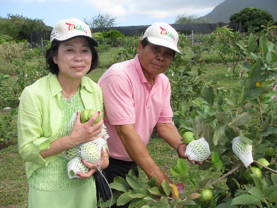 張貼日期：2009/7/14
