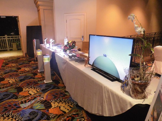 Post Date:2013/12/24