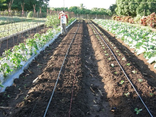 張貼日期：2008/12/2