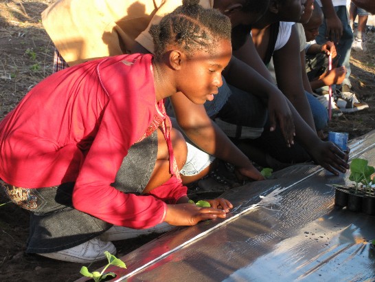 張貼日期：2009/1/30