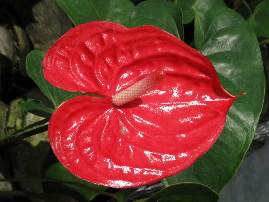 張貼日期：2009/6/6