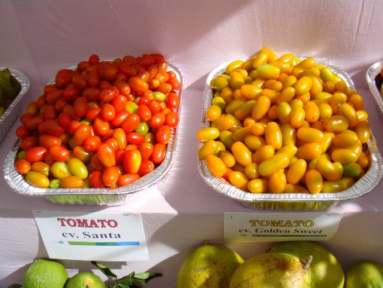 張貼日期：2009/3/26