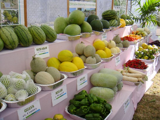 張貼日期：2009/3/26