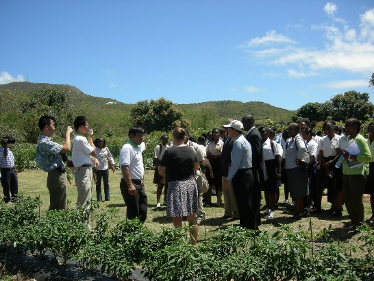 張貼日期：2009/3/19