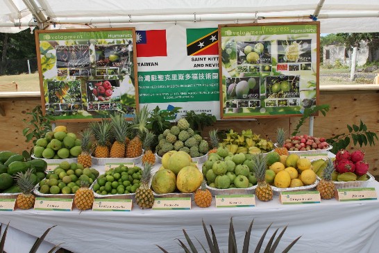 張貼日期：2009/7/30