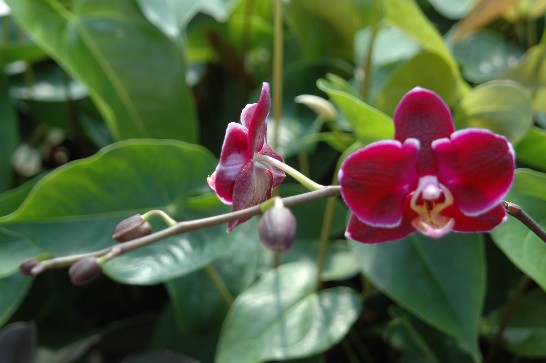 張貼日期：2008/5/15