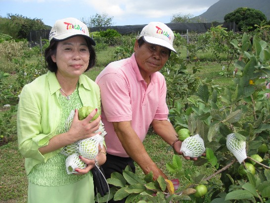 張貼日期：2009/2/13