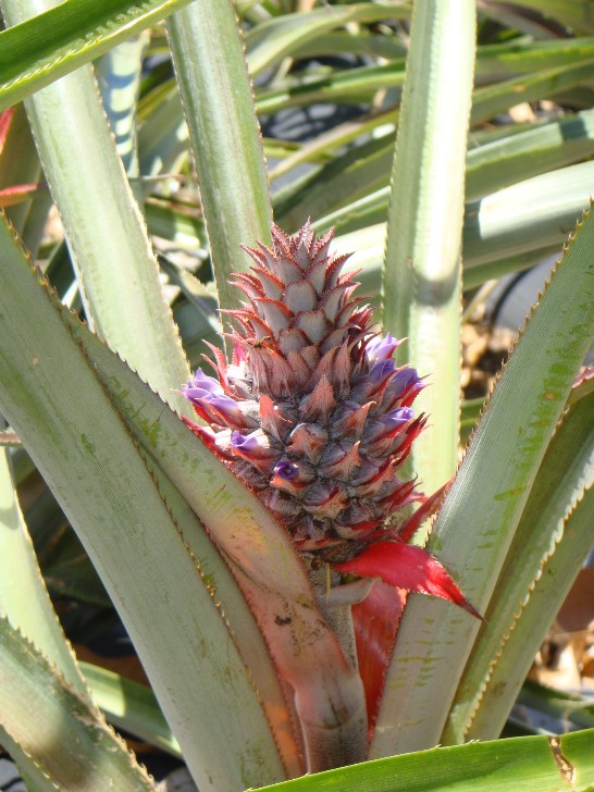 張貼日期：2009/3/19