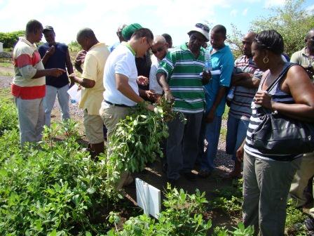 張貼日期：2012/11/14