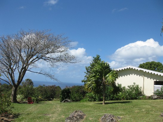 張貼日期：2009/2/13