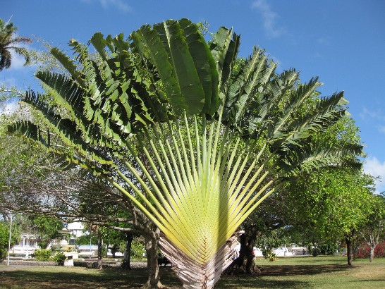 張貼日期：2009/1/25