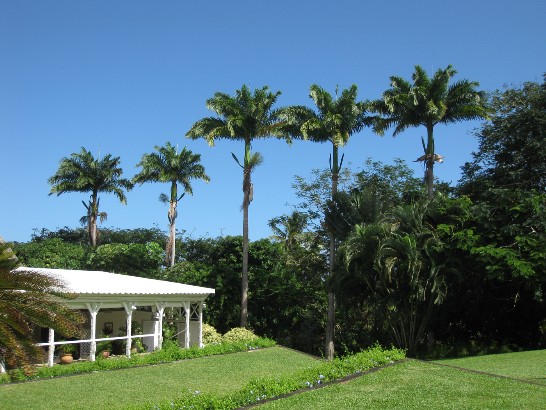 張貼日期：2009/7/14