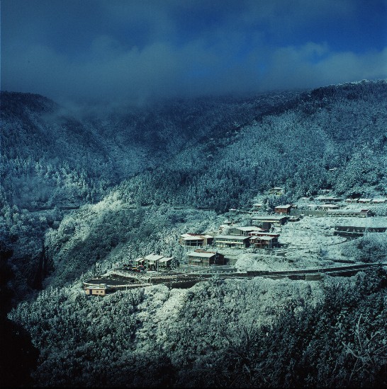 昔日為台灣三大林場之一的太平山區，在瑞雪的妝點下宛如北國之冬。(林明仁  拍攝)