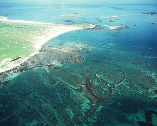 澎湖漁民在潮間帶以礁石堆置捕魚陷阱，形成特殊的石滬景觀。(齊柏林  拍攝)
