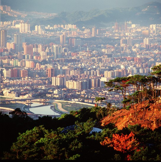 金紅晨曦的映照下，遠眺迎接朝陽的台北市。（沈文裕  拍攝）