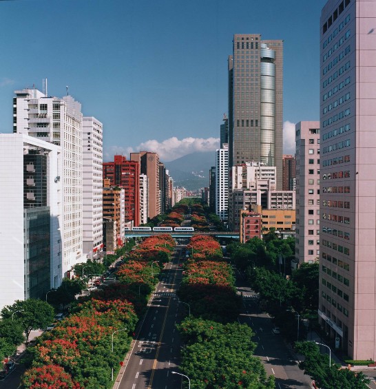 高樓、捷運和林蔭大道；台北市美麗的街景。(葉銘源  攝)
