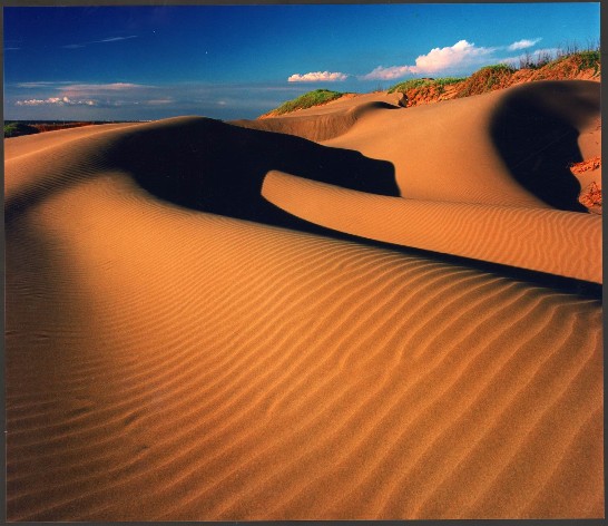 海風吹拂七股海岸沙丘，形成綿花狀的起伏沙紋景觀。（吳淵源  拍攝）