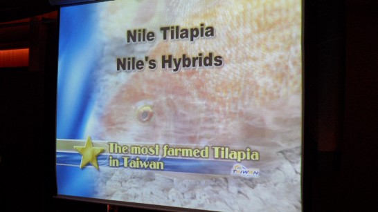 작성날짜：2013/11/25