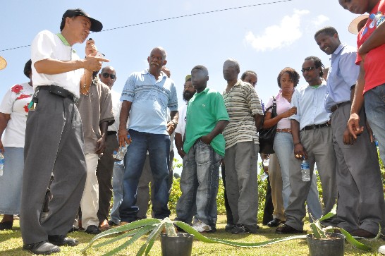 李專家左興講解紅龍果栽種技巧