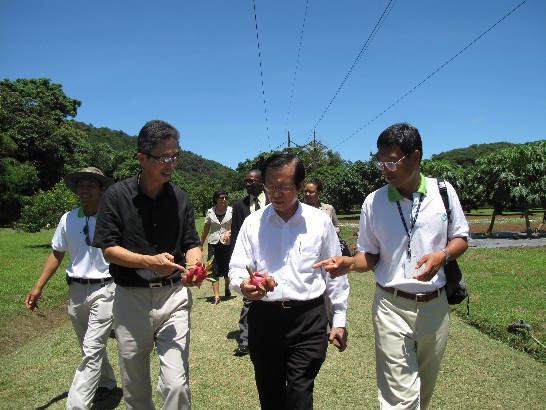 楊進添部長伉儷在周台竹大使及蕭團長一鵬陪同下，視察幽寧農場果蔬栽培情形