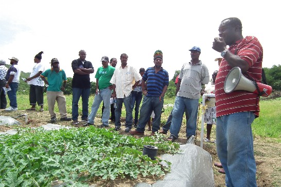 推廣戶希博萊先生(Mr. Hippolyte)說明技術團輔導栽培西瓜