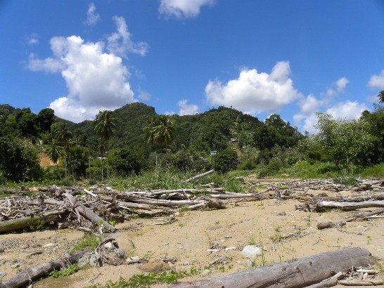 整治前二Before Rehabilitation II