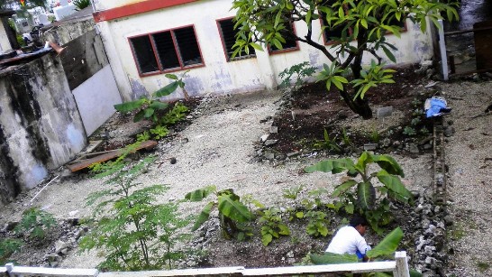 Post Date:2011/11/30