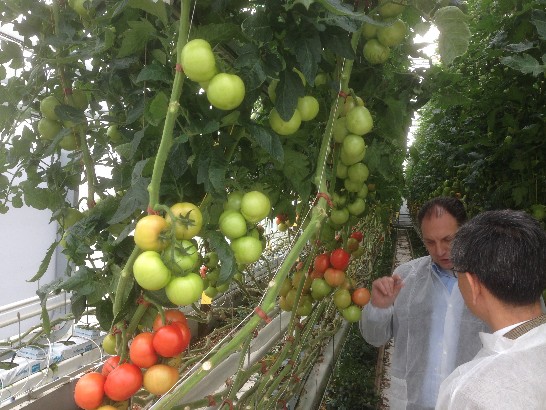 Plaatsingsdatum:2014/5/28