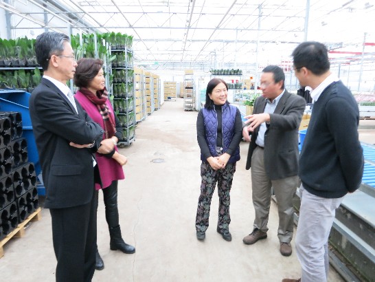 Plaatsingsdatum:2015/11/25