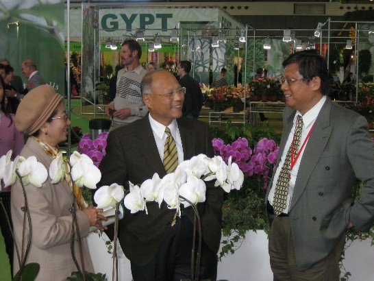 Plaatsingsdatum:2008/10/15