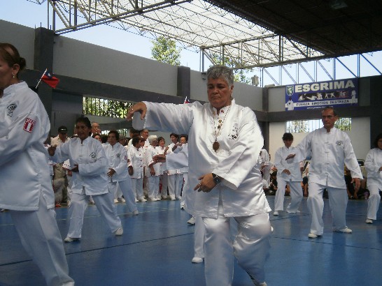 Presentacion de Taichi.