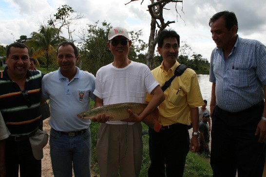 fecha de publicación:2009/4/3