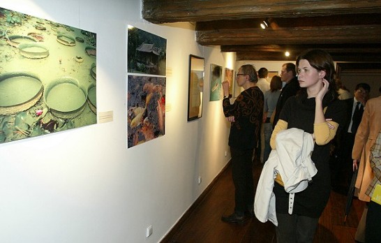 張貼日期：2008/10/21