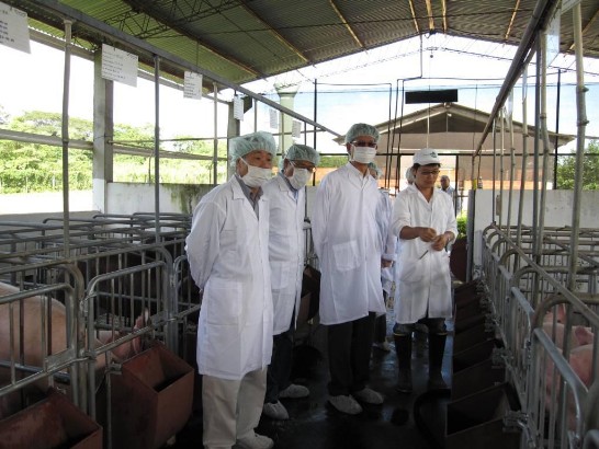 fecha de publicación:2010/3/3