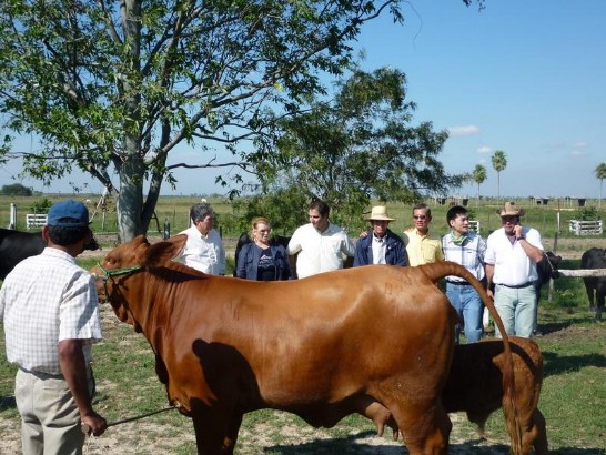 fecha de publicación:2010/5/7