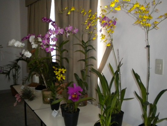 fecha de publicación:2011/6/24