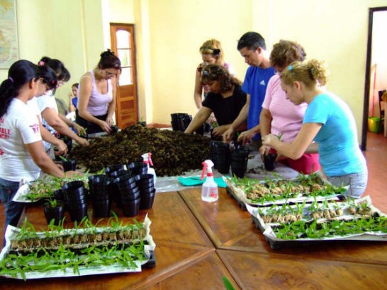 技術團蘭花研習班學員實習情形