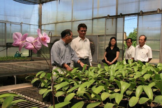 李團長向黃大使一行介紹蝴蝶蘭栽培管理