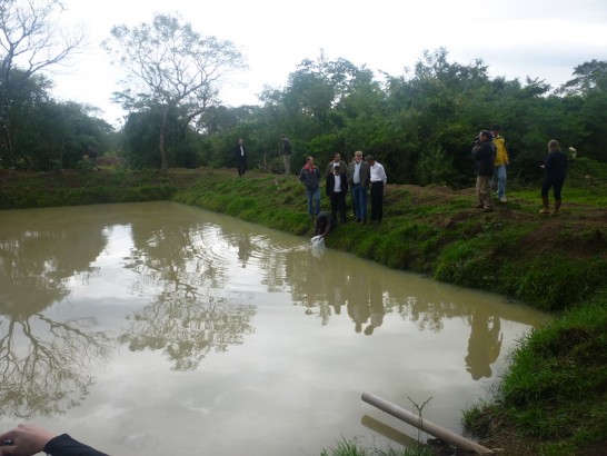 2010.04.24魚池一景。