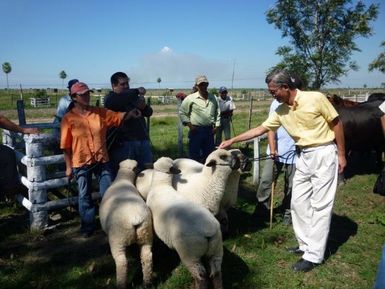 2010.05.06 黃大使檢視牧場綿羊照片