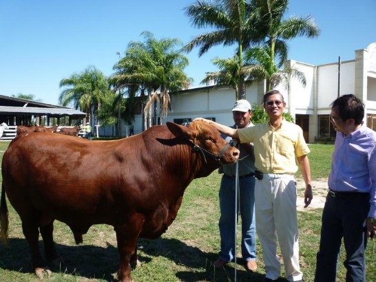 2010.05.06黃大使檢視牧場種牛照片