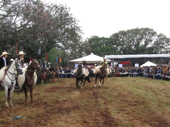 2010.05.20農牧展開幕典禮馬術表演