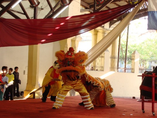 2010.06.08 舞獅表演