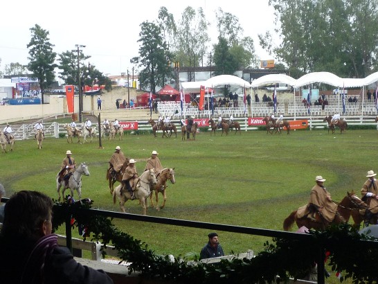 2010.07.17馬術隊表演