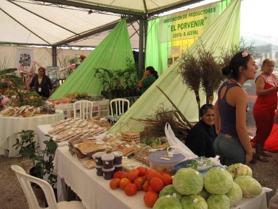 2010.08.27 駐巴拉圭技術團李團長參觀第一屆下夏谷區域性農牧工商展