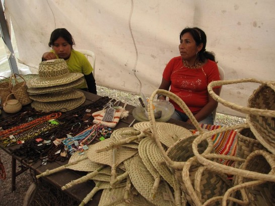 2010.08.27 駐巴拉圭技術團李團長參觀第一屆下夏谷區域性農牧工商展