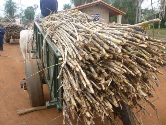 2010.09.06 黃大使應巴拉圭工商部長瑞巴斯邀請參觀巴國糖蜜工廠