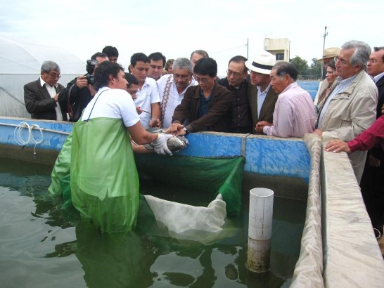 劉大使德立與巴農牧部長賈狄尼（Jorge Gattini）及Paraguarí省省長Miguel Jorge Cuevas等參觀我臺灣鯛養殖中心合影