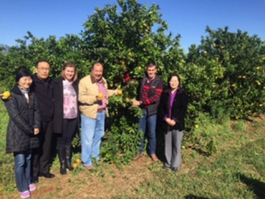 張貼日期：2015/9/15